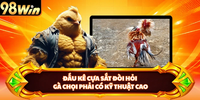 Đấu kê cựa sắt đòi hỏi gà chọi phải có kỹ thuật cao