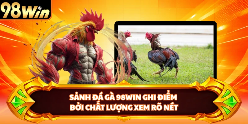 Sảnh đá gà 98WIN ghi điểm bởi chất lượng xem rõ nét